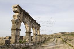 Image du Maroc Professionnelle de  La voie principale (decumanus maximus) qui part depuis de l'arc de triomphe jusqu'à la porte de Tanger de l'ancienne ville romaine de Volubilis l'un des sites les mieux préservés au Maroc et le plus visité. La cité romaine se situe à proximité de Moulay Idriss Zerhoun à une trentaine de km au nord-ouest de Meknès, photo prise le jeudi 8 Mars 2012. Volubilis ville antique berbère Walili (Lauriers rose) qui date du 3e siècle avant J.-C. capitale du royaume de Maurétanie fondé comme seconde capital sous le règne de Juba II. (Photo / Abdeljalil Bounhar)
 